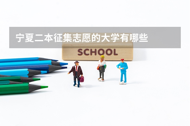 宁夏二本征集志愿的大学有哪些