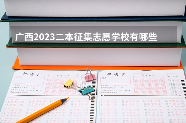 广西2023二本征集志愿学校有哪些