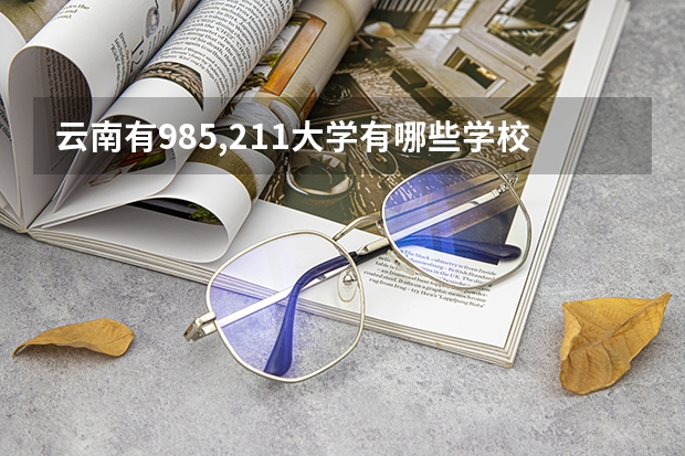 云南有985,211大学有哪些学校