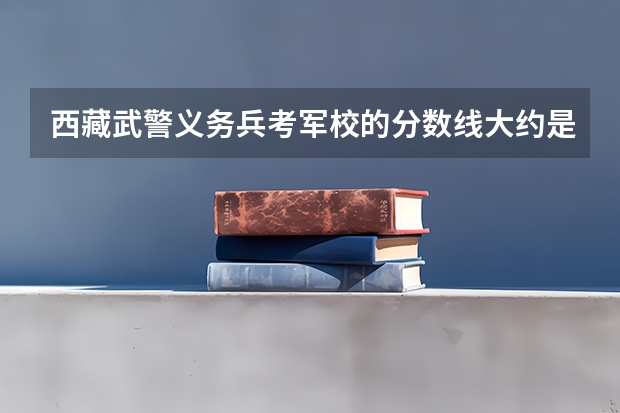 西藏武警义务兵考军校的分数线大约是多少？