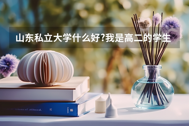山东私立大学什么好?我是高二的学生，钱不是问题，想提前上大学