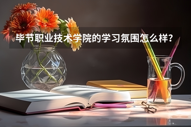 毕节职业技术学院的学习氛围怎么样？