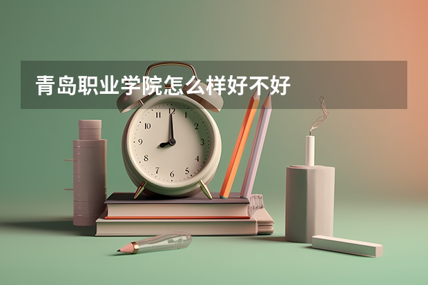 青岛职业学院怎么样好不好