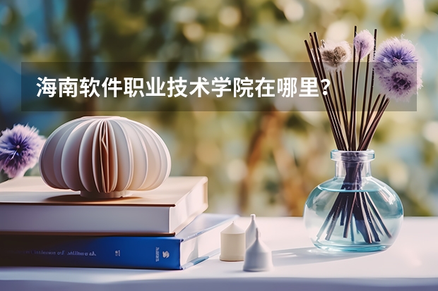 海南软件职业技术学院在哪里？