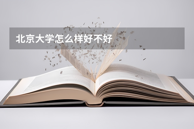 北京大学怎么样好不好