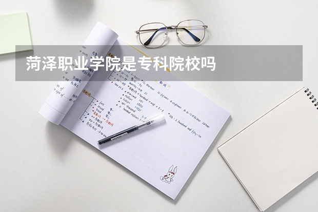 菏泽职业学院是专科院校吗