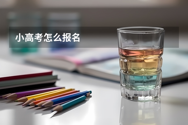 小高考怎么报名