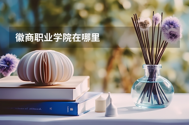 徽商职业学院在哪里