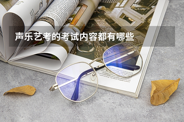 声乐艺考的考试内容都有哪些