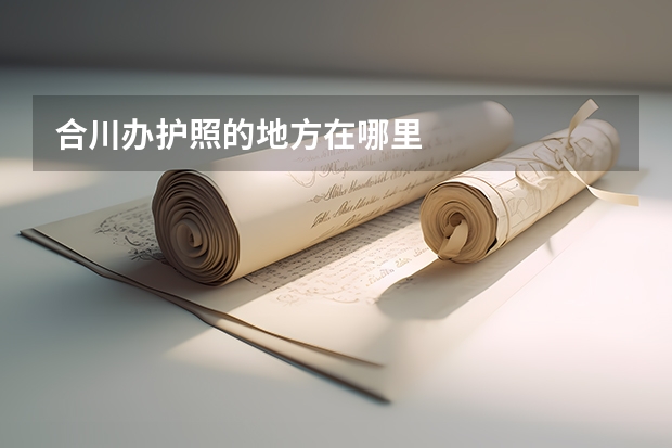 合川办护照的地方在哪里