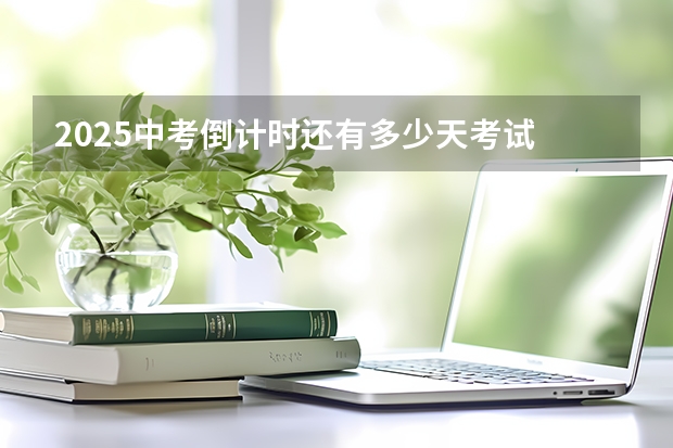 2025中考倒计时还有多少天考试