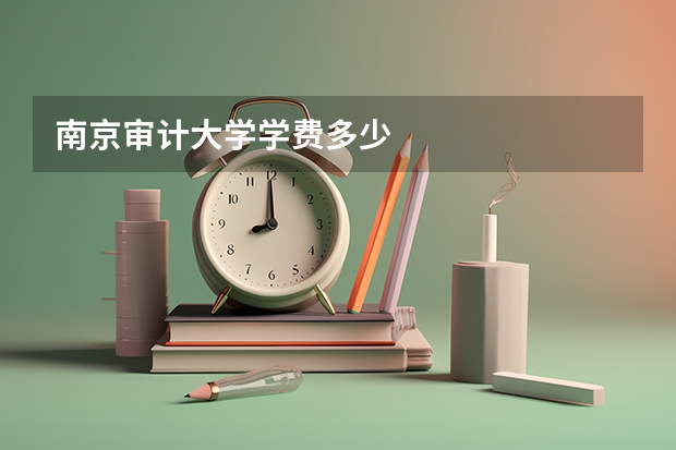 南京审计大学学费多少