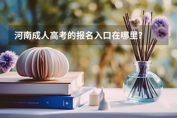 河南成人高考的报名入口在哪里？