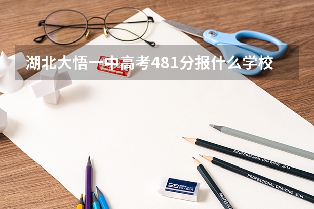 湖北大悟一中高考481分报什么学校好，谢谢各位专家回答！