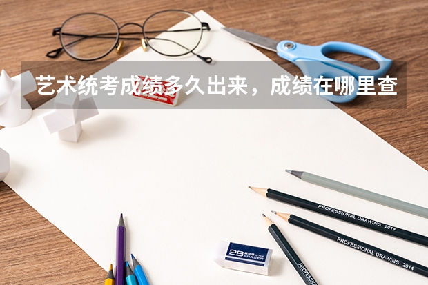 艺术统考成绩多久出来，成绩在哪里查询