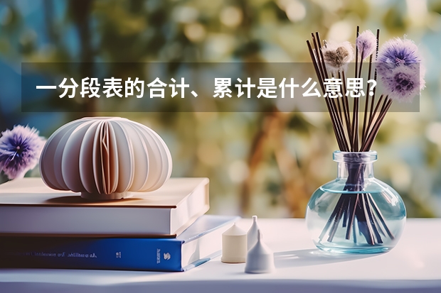 一分段表的合计、累计是什么意思?