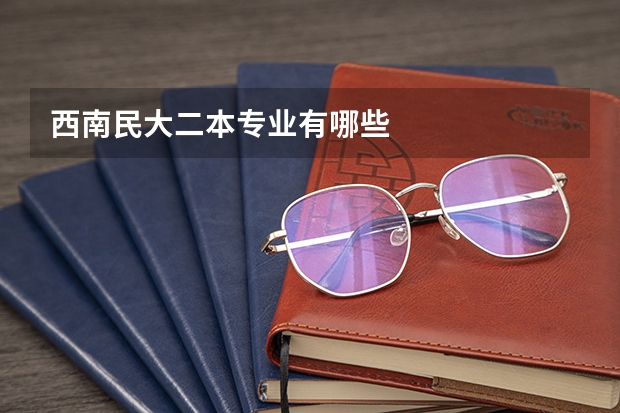 西南民大二本专业有哪些