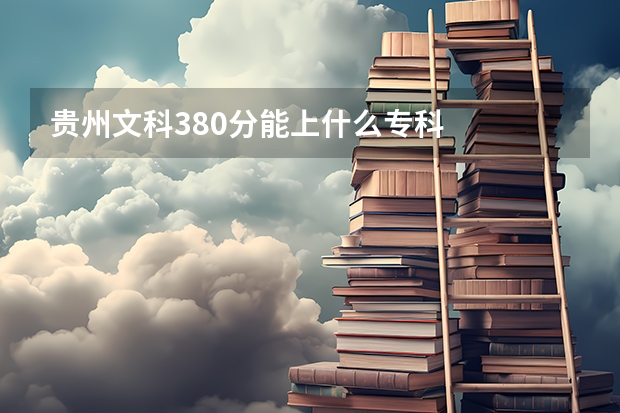 贵州文科380分能上什么专科