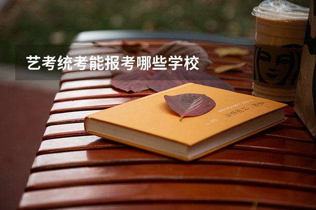 艺考统考能报考哪些学校