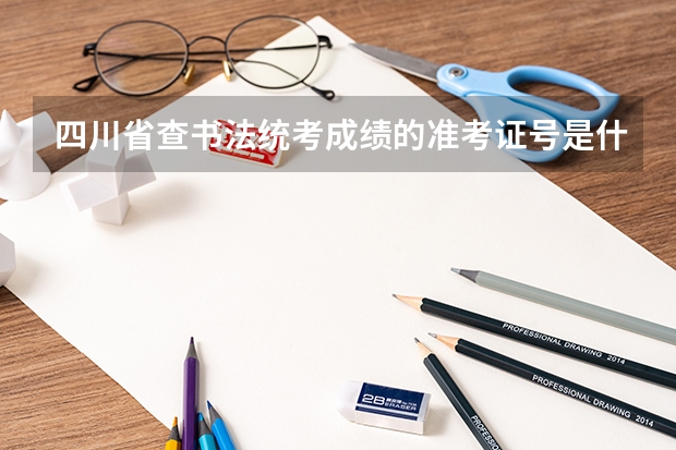 四川省查书法统考成绩的准考证号是什么？