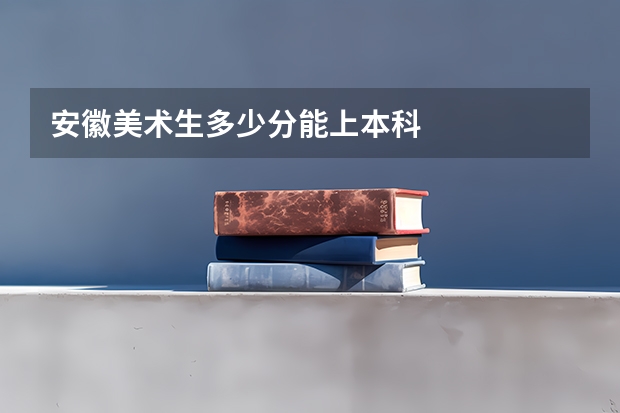 安徽美术生多少分能上本科